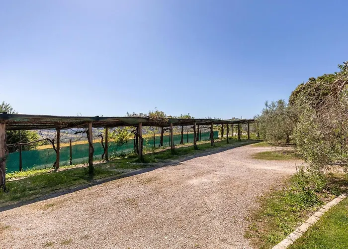 Appartement In Frazione Canonica,todi *